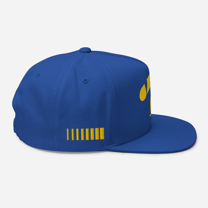 VV10 Cap Camel Cap
